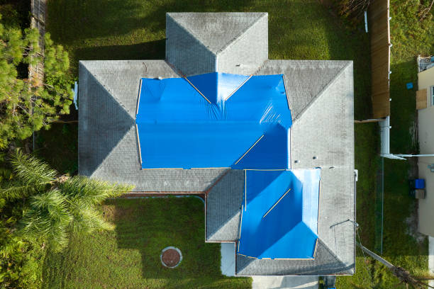 Best Skylight Installation and Repair  in Lynchburg, TN